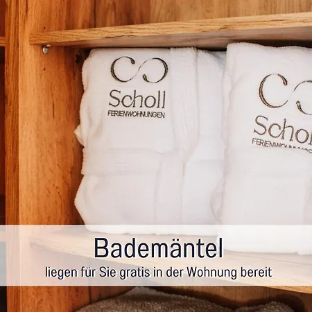 Scholl - Private Sauna Oder Infrarotkabine *